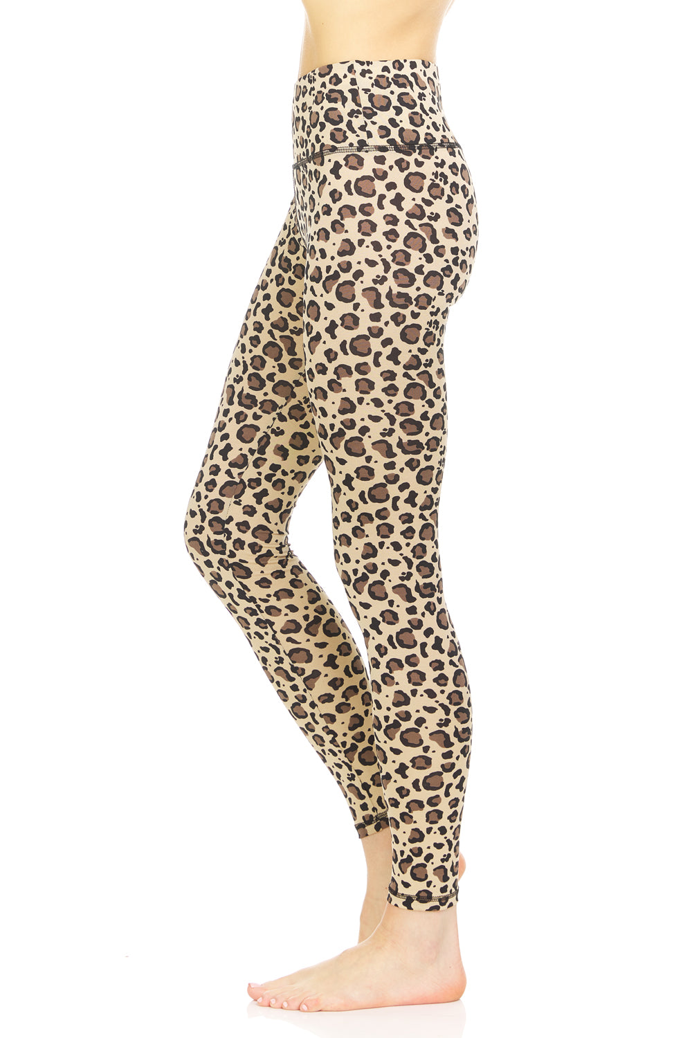 Therapy Animal Printed Legging